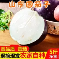 湛航 茄子新鲜5斤山东农家新鲜蔬菜黑紫圆茄子应季蔬菜素菜3斤
