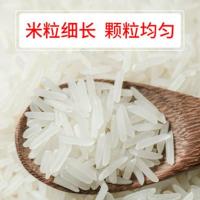 煲仔饭专用丝苗米 新大米 油粘米长粒香大米