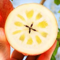 湛航 正宗冰糖心丑苹果水果苹果10斤冰糖心当季新鲜水果5斤整箱批发