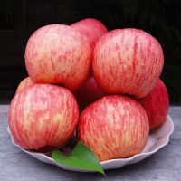 湛航 苹果脆甜红富士当季应季新鲜5/10斤水果山东冰糖心批发