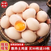 湛航 土鸡蛋正宗农家散养柴鸡蛋健康营养月子蛋新鲜草鸡笨鸡蛋10-40枚