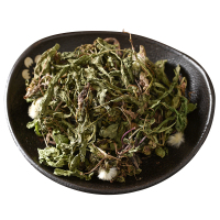 湛航 蒲公英蒲公英泡茶 新鲜浦公英根干货