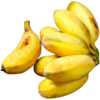 湛航 苹果蕉 新鲜香蕉水果当季整箱 粉蕉小米蕉海南大芭蕉