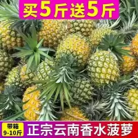 湛航新鲜大菠萝香水大菠萝手撕菠萝水果凤梨菠萝批发大果