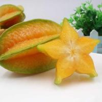 湛航 杨桃新鲜应季水果酸甜果热带阳桃3斤