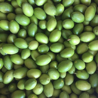 湛航 福建青橄榄新鲜橄榄果500g生吃煲汤新鲜青果应季水果