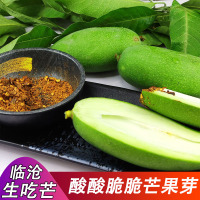 湛航 云南临沧特产酸脆生芒果新鲜酸水果 酸果送辣椒面应季水果
