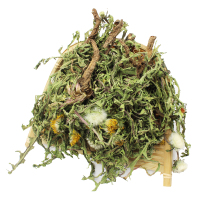 蒲公英茶整根株 新鲜干货 婆婆丁带通中草材浦公英