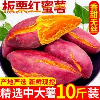 [今年新货]2022新鲜红薯红蜜薯番薯地瓜红苕蜜薯2/5/10斤装