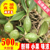 石橄榄新鲜500g双叶中小号石仙桃果种植盆栽炖汤 煲汤材料单叶