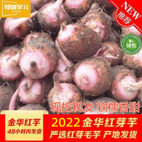 金华红芽芋头粉糯毛芋艿荔浦香芋子新鲜小芋头淘莱菜蔬菜当季