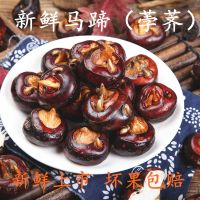 新鲜中马蹄果荸荠地梨地栗即食水果蔬菜农家特产5斤