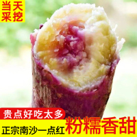 正宗广州南沙一点红番薯新鲜农家自种板栗紫薯冰淇淋红薯粉糯香甜