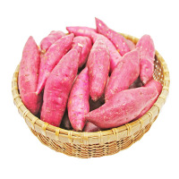 湛航 中果天目山小香薯临安新鲜红薯板栗鸡蛋薯白黄心5斤28个左右偏糯口感