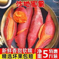 蜜薯糖心红薯超甜新鲜番薯农家自种沙地西瓜红红薯小香薯板栗地瓜