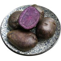 丽江紫土豆新鲜黑土豆黑美人花黑金刚乌洋芋5/10斤