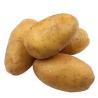 新鲜土豆蔬菜马铃薯农家大洋芋黄皮黄心土豆当季农产品
