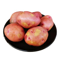 云南高山新鲜小土豆10斤红皮黄心自种马铃薯蔬菜糯洋芋农家菜