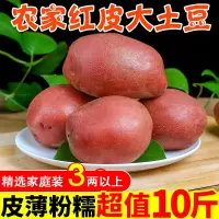 红皮大土豆云南马铃薯丽江洋芋红皮黄心生态农家自种5斤