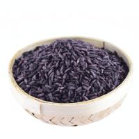 紫米云南墨江紫糯米粗粮黑糯包粽子米饭团新米500g五谷杂粮血糯米