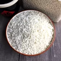 长糯米500g一斤糯米包粽子糯米做饭团的新  新米