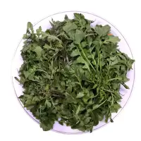 陕西秦岭荠菜新鲜荠荠菜地丁菜北方当季野菜1500g