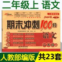 2二年级语文数学上册下册试卷人教版期末冲刺100分同步练习册卷子 2年级上册 [语文]人教版