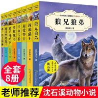 狼兄狼弟沈石溪中外动物小说绝境血狼霸王龙父子情疤脸狮王系列 任选三本客服留言