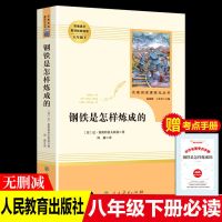 八下傅雷家书和钢铁是怎么样炼成的怎样八年级下册必读课外书名著 钢铁是怎样练成的人教版