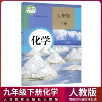 2021新版初三初中九年级化学下册人教版课本教材九下化学书 九年级[下册]化学人教版