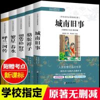 呼兰河传萧红著原版书籍正版四五六年级小学生初中必读课外书完整[3月10日发完] 名师点评 学校推荐版 [老师指定版]呼兰