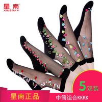 5/6双装袜子女秋季新品棉底丝袜薄款韩版中筒玻璃水晶丝防勾 【5双】中筒组合KKKK