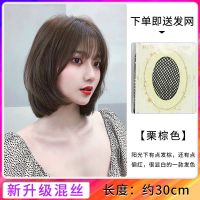 假发女短发自然全头套式圆脸修脸波波头仿真人发丝锁骨中长发发套 [KBL-CX72]栗棕色+发网