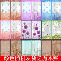 加密防蚊纱窗网自粘型窗纱魔术贴纱窗网磁性窗帘自装可拆卸家用 颜色随机发货拉链款防纱纱窗 宽80高100