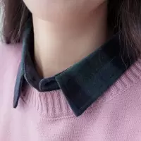 假领子女百搭秋冬新款纯棉围脖护颈女式假领衬衫装饰领韩版假衣领 纯棉绿色格格 36码（建议体重20--65斤）