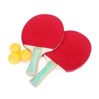 乒乓球拍单拍双拍初学级对拍学生1-6星比赛专用乒乓球拍 特价乒乓球拍一对(赠二球)