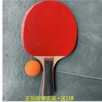 牌六星乒乓球拍初学者学生儿童成人比赛训练乒乓球拍 正反胶单支装训练拍+送1球