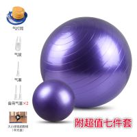 [雯靖]瑜伽球加厚防爆初学者健身球套装减肥美体瘦身送打气筒 紫色 45cm(适合身高150以下或儿童)