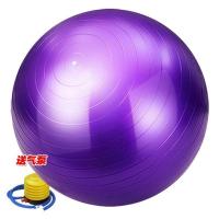 瑜伽球加厚防爆球初学者健身球大号套装75cm6545儿童跳跳球送气筒 紫色[送气筒/气拔/球塞] 45cm 光面防爆球