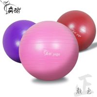 [瑜伽球 ]瑜伽球磨砂减肥健身球加厚防爆可承重500斤 蓝色磨砂球(加厚防爆)) 55cm(推荐身高150-160