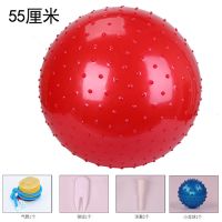 儿童新款感统训练大龙球瑜伽健身球颗粒触觉球初学者按摩球 红色大龙球+气泵球塞球拔+小刺球 55厘米