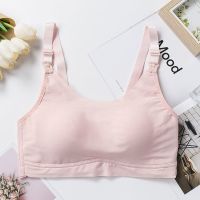 哺乳内衣女孕妇文胸bra专用怀孕期纯棉聚拢防下垂喂奶胸罩舒适薄 3704粉色 L[36/80BC]