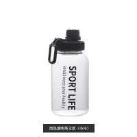 大容量带吸管玻璃水杯男ins杯子女学生韩版可爱网红透明茶杯创意 700ml单杯 透明爱心豹