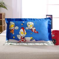 儿童枕头纯棉枕套幼儿园午睡小枕头宝宝可爱卡通冰丝夏绒面可拆洗 A13迪迦兄弟[纯棉拉链款] 枕套1个[不含枕芯]