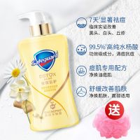 痘肌洁护沐浴露 甘菊白茶洁面双效祛痘排浊香皂沐浴露540ml 水杨酸祛痘-洋甘菊 排浊洗脸皂108g+起泡网