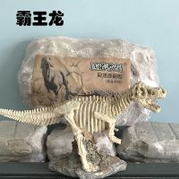 儿童考古挖掘玩具恐龙化石模型大号霸王龙头骨diy手工6创意礼物8 霸王龙