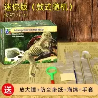 儿童恐龙化石考古挖掘玩具 男孩挖标本手工diy霸王龙骨架拼装模型 考古挖掘迷你版