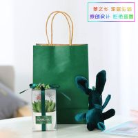 创意多肉植物伴手礼生日礼物女生闺蜜送男朋友特别圣诞节毕业礼物 绿色小号 单独多肉礼品一份