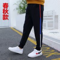 冬季男童加绒裤子冬装2020新款儿童中大童加厚运动春秋冬长裤韩版 彩条(春秋)收藏送袜子 110码适合(100-105厘