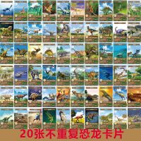 恐龙卡片100张认知卡牌撕不烂霸王龙战斗闪卡全套收藏册儿童玩具 不重复恐龙卡片20张